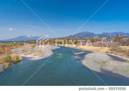 Sakura scenery of Kamanashi River Shingen embankment 88935686