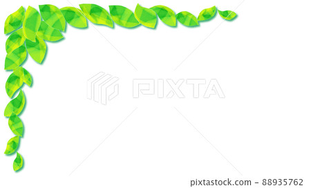 葉框綠色植物插圖素材 葉框綠色植物插圖素材 88935762