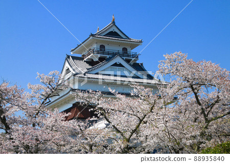 Sakura at Kaminoyama Castle (Kaminoyama City, Yamagata Prefecture) 88935840