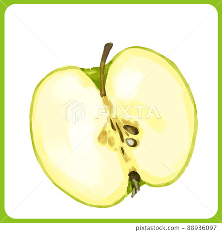 Hand drawn watercolor green apple cross section illustration Hand drawn watercolor green apple cross section illustration 88936097