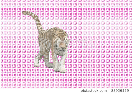 Sakura tiger and spring have arrived Sakura tiger and spring have arrived 88936359
