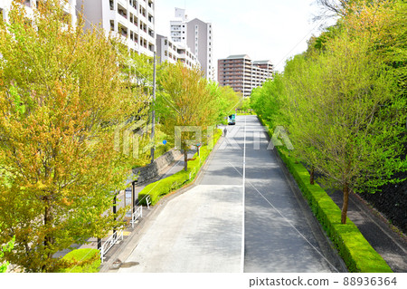 Aioihodo Bridge area / (right side) Tokyo Metropolitan Oyamadairi Park (Hachioji City, Tokyo) [2022.4] 88936364