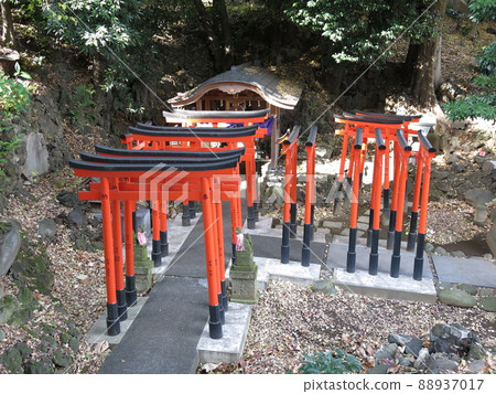 Sacred cave "Oana" in Sawakuraji Inari, Bunkyo-ku Sacred cave "Oana" in Sawakuraji Inari, Bunkyo-ku 88937017