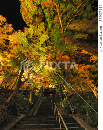 Illuminated autumn leaves at Tanzan Shrine Illuminated autumn leaves at Tanzan Shrine 88937113