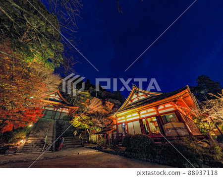 Illuminated autumn leaves at Tanzan Shrine 88937118