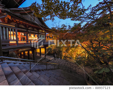 Illuminated autumn leaves at Tanzan Shrine 88937123