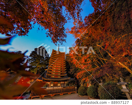潭山神社的照明的秋葉 潭山神社的照明的秋葉 88937127