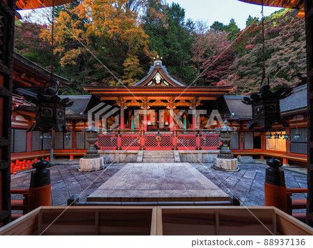 潭山神社的照明的秋葉 潭山神社的照明的秋葉 88937136