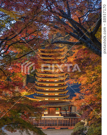潭山神社的照明的秋葉 潭山神社的照明的秋葉 88937170