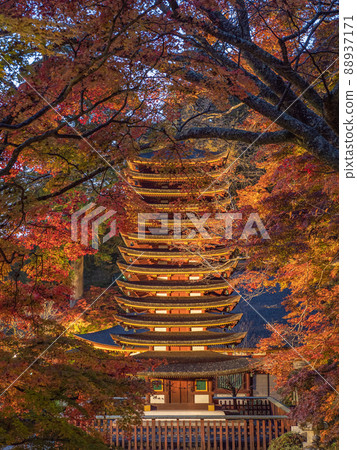 潭山神社的照明的秋葉 潭山神社的照明的秋葉 88937171