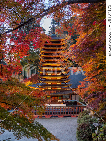 潭山神社的照明的秋葉 潭山神社的照明的秋葉 88937175