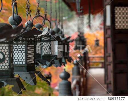 潭山神社的照明的秋葉 潭山神社的照明的秋葉 88937177
