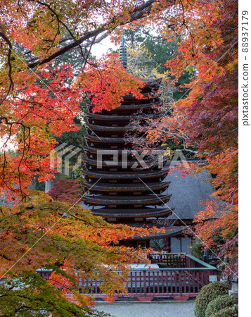 潭山神社的照明的秋葉 潭山神社的照明的秋葉 88937179