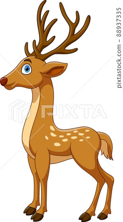 Cartoon funny deer on white background Cartoon funny deer on white background 88937335
