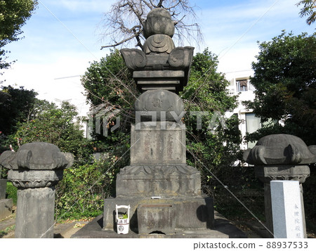 文京區電津院孝子墓 88937533