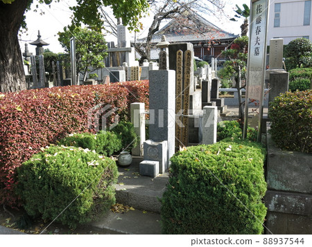 Haruo Sato's grave in Denzuin, Bunkyo Ward 88937544