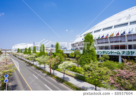 Vantelin Dome Nagoya(名古屋巨蛋)和山茱萸 Vantelin Dome Nagoya(名古屋巨蛋)和山茱萸 88937604