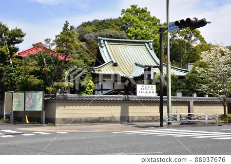小田原市圓光寺和國道1號板橋見附交叉口和新鮮的綠色 小田原市圓光寺和國道1號板橋見附交叉口和新鮮的綠色 88937676