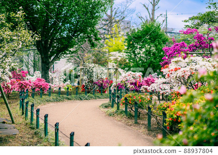 Spring garden Western-style garden 88937804