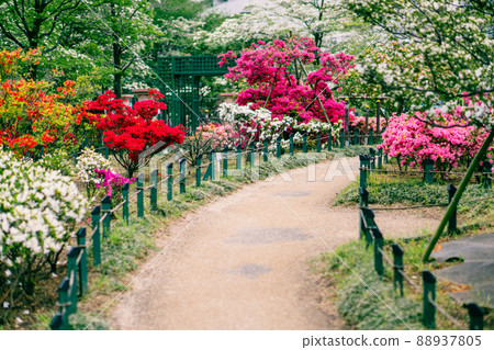 春園西式園林 88937805
