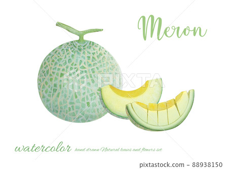 美味的瓜水彩畫 88938150
