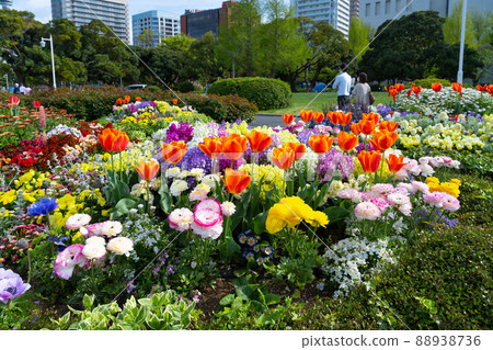 神奈川縣橫濱市山下公園英式花園 88938736
