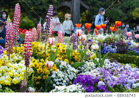 神奈川縣橫濱市山下公園英式花園 88938743