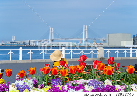 神奈川縣橫濱市山下公園英式花園 88938749