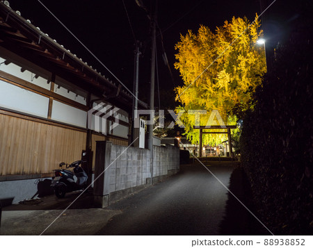 點燃Niyu Shuden Shrine Shinkan 點燃Niyu Shuden Shrine Shinkan 88938852
