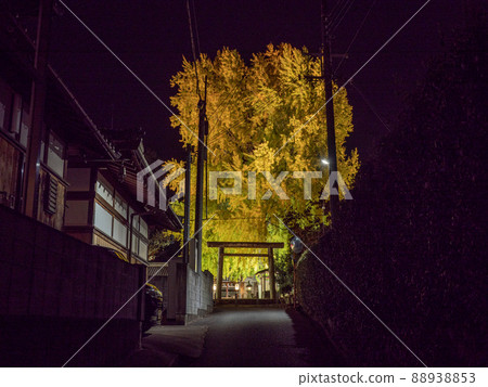點燃Niyu Shuden Shrine Shinkan 點燃Niyu Shuden Shrine Shinkan 88938853