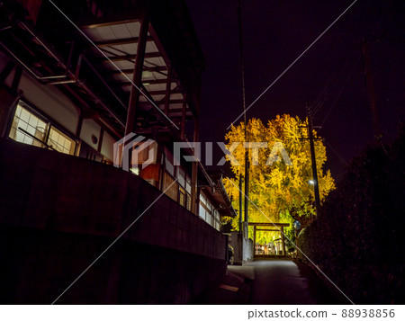 點燃Niyu Shuden Shrine Shinkan 點燃Niyu Shuden Shrine Shinkan 88938856