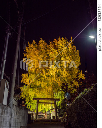 點燃Niyu Shuden Shrine Shinkan 點燃Niyu Shuden Shrine Shinkan 88938864