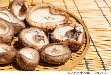 Sun-dried shiitake mushrooms, dried shiitake mushrooms to improve nutrients, dried shiitake mushrooms 88939076