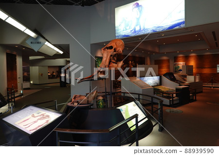 相模原市博物館 88939590