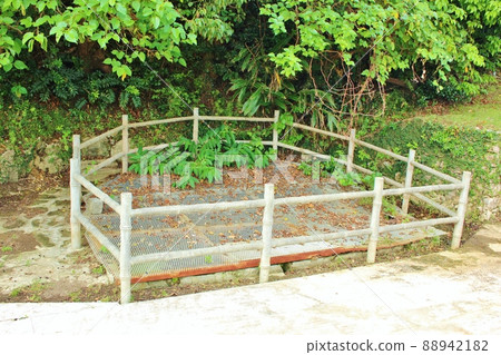 伊善島松之庭公園 Shiohira Mikawa 伊善島松之庭公園 Shiohira Mikawa 88942182