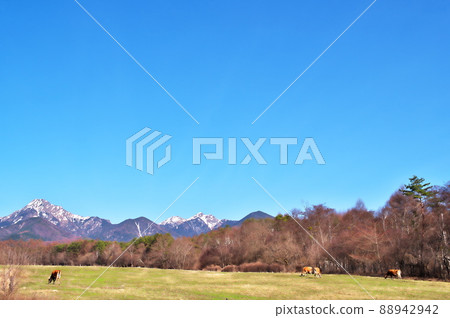 Ranch Yatsugatake 88942942