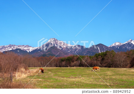 Ranch Yatsugatake 88942952