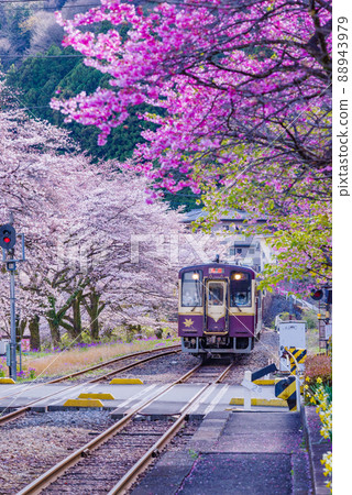 Spring Watarase Valley Railway: Mizunuma Station 88943979