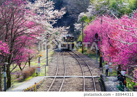 Spring Watarase Valley Railway: Kobe Station 88944311