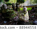 Stone Buddha in Makiodo Ancient Park, Toyoh Peninsula 88944558
