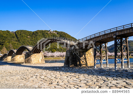 Kintai bridge in spring Kintai bridge in spring 88944565