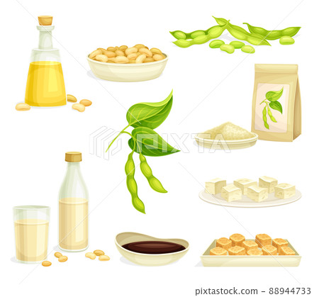 Soya Product with Soybean, Soy Sauce and Tofu from Edible Legume Plant Vector Set 88944733