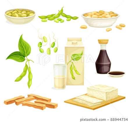 Soya Product with Soybean, Soy Sauce and Tofu from Edible Legume Plant Vector Set 88944734