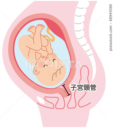 媽媽在懷孕期間的機制 嬰兒出生 88945090