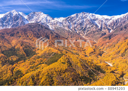 《長野縣》白馬村/三段秋葉在紅葉的高度 88945203