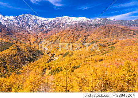 《長野縣》白馬村/三段秋葉在紅葉的高度 88945204