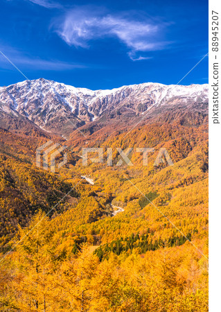 《Nagano Prefecture》 Hakuba Village / Sandan Autumn Leaves at the height of autumn leaves 《Nagano Prefecture》 Hakuba Village / Sandan Autumn Leaves at the height of autumn leaves 88945207