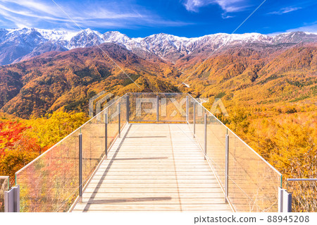 《Nagano Prefecture》 Hakuba Village / Sandan Autumn Leaves at the height of autumn leaves 88945208