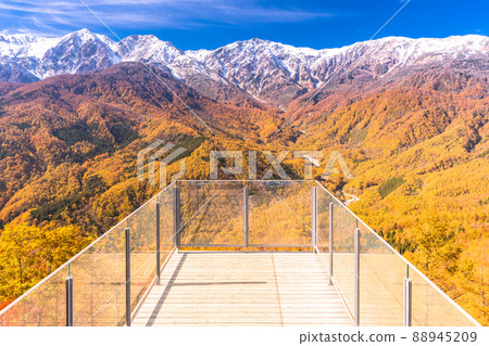 《Nagano Prefecture》 Hakuba Village / Sandan Autumn Leaves at the height of autumn leaves 88945209