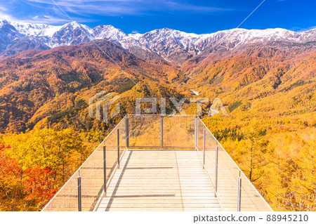 《長野縣》白馬村/三段秋葉在紅葉的高度 88945210